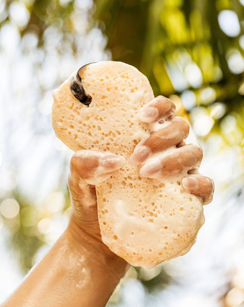 Sweet Grace Body Wash Sponge