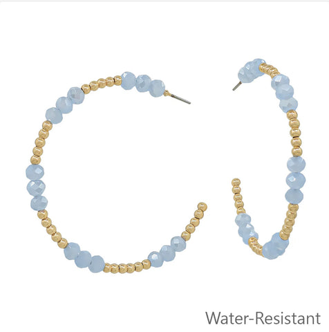 WH Earrings E-4139BL