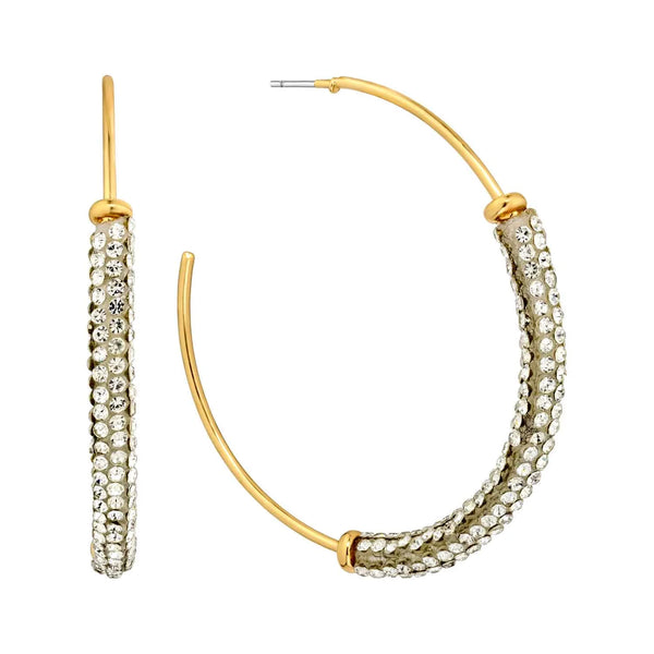 Earrings WH