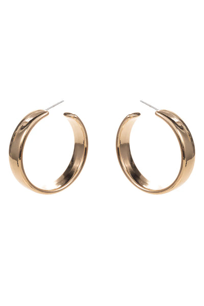 Earrings WH