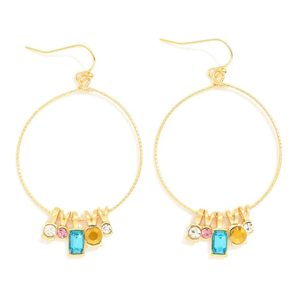 WH Earrings E-4271