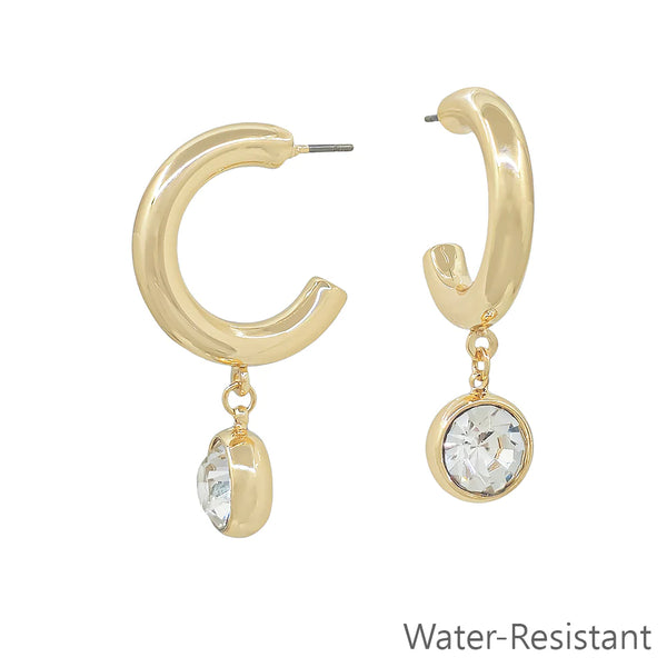 WH Earrings 4288