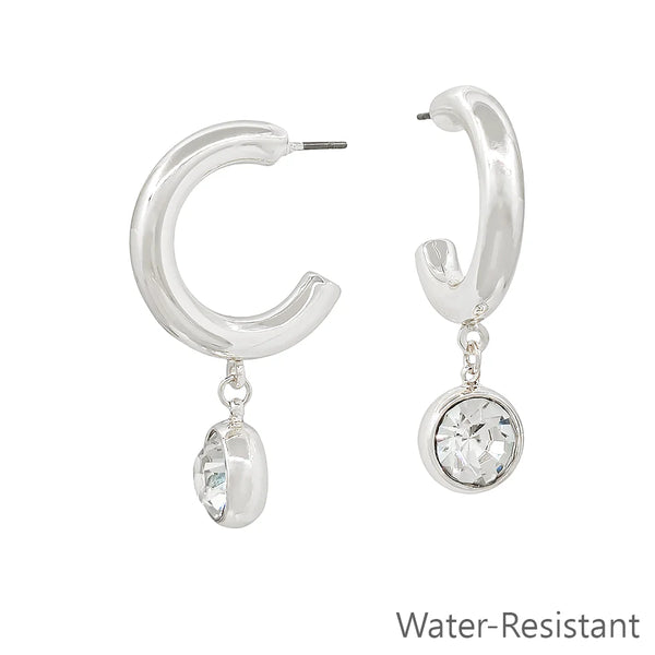 WH Earrings 4288