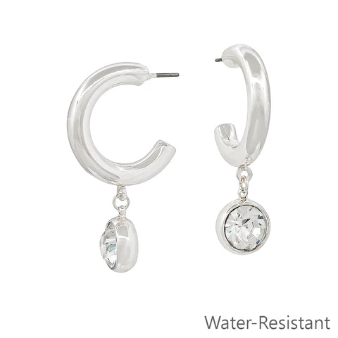 WH Earrings 4288