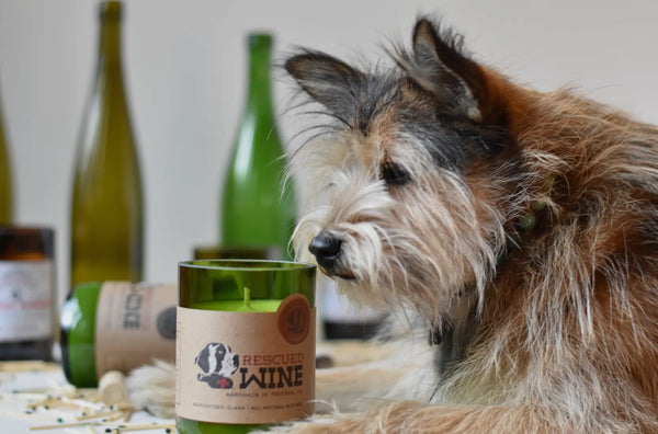 Wine Candles Wine Country