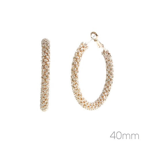 WH Earrings E-3932