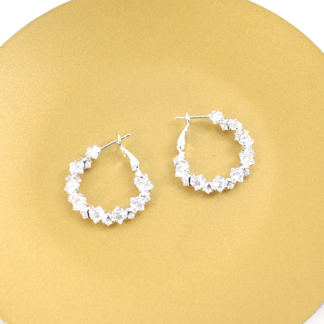 PP Earrings E26171