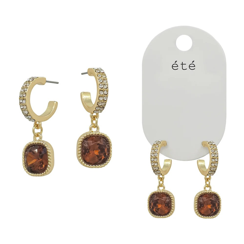 WH Earring Small Brown E-4914BR