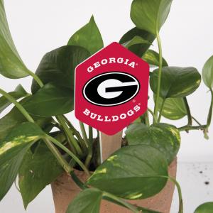 Georgia Plant Sign