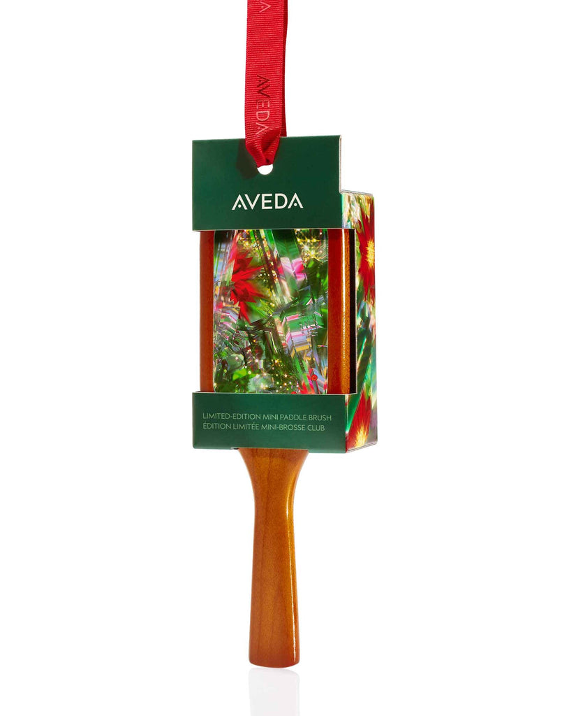 Aveda Mini Brush Gift Set