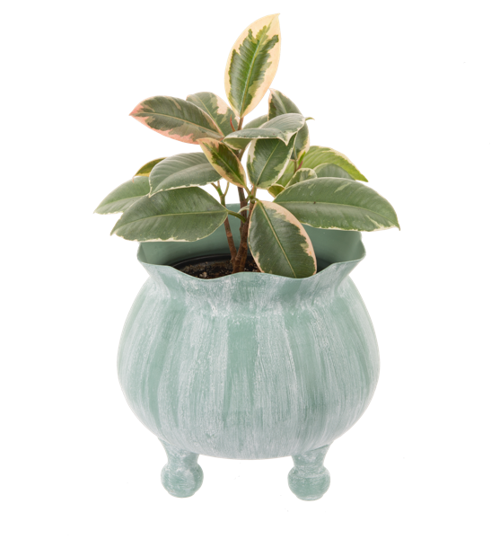 Planter Small